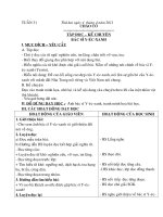 Tuan 31- lop 3- 1 buoi