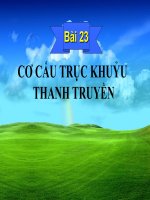 Cơ cấu thanh truyền trục khuỷu