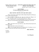 Quyết định ban hành thực hiện quy chế chuyên trong trường học