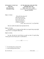 Đề thi HSG môn văn 2010-2011