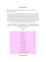 Cắt may áo sơ mi nữ