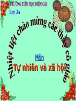 Các hoạt động thông tin liên lạc ( Bài thi GVG huyện của cô Lê Thúy)