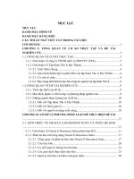 luận văn quản trị doanh nghiệp Tìm hiểu phân hệ Quản lý kho của hệ thống ERP ORACLE E-Bussiness Suite (EBS R12). Ứng dụng triển khai tại tập đoàn Tân Á –Đại Thành