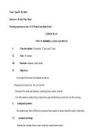 Giao an Language Focus Unit 13-Grade 11