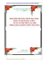 ĐỔI MỚI PHƯƠNG PHÁP DẠY HỌC  GIÁO ÁN BUỔI HAI LỚP 5 TUẦN 33 CHI TIÊT, CỤ THỂ THEO CHUẨN KIẾN THỨC KĨ NĂNG.