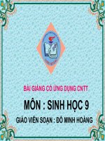 Tiết 17 : MỐI QUAN HỆ GIỮA GEN VÀ ARN