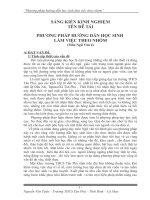 SÁNG KIẾN KINH NGHIỆM ĐẠT GIẢI CẤP  TỈNH