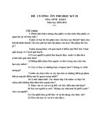 đề cương,đề thi HK2 lớp 6, 2010-2011