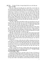 SKKN: to chuc tot le chao co