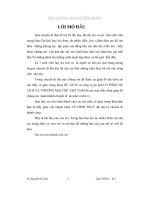 Báo cáo tour du lịch hà nội – lào cai – sa pa – hà khẩu – hà nội