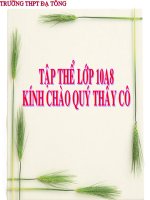 TỔNG KẾT PHẦN VĂN HỌC