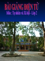 TNXH LOP 2 TUAN 31 MAT TROI