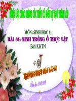 tuần hoàn sinh học 11