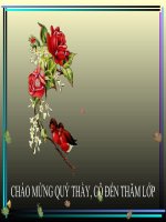 GA BAI DUONG TRUONG SON