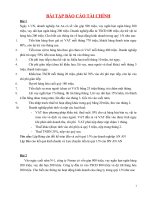 BÀI TẬP TÀI CHÍNH DOANH NGHIỆP-BCTC