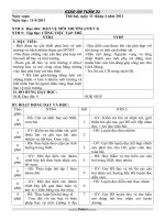 GIÁO ÁN GHÉP 4+5 TUẦN 31- CKTKN