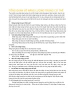 TỔNG QUAN về NĂNG LƯỢNG TRONG cơ THỂ