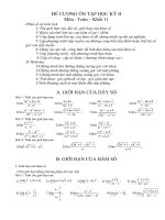 Đề cương ôn Toán 11 kì II.doc