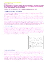 Thủ thuật nâng cao trong MS Word