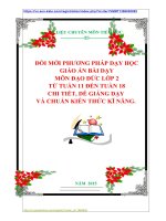 ĐỔI MỚI PHƯƠNG PHÁP DẠY HỌC  GIÁO ÁN BÀI DẠY  MÔN ĐẠO ĐỨC LỚP 2  TỪ TUẦN 11 ĐẾN TUẦN 18 CHI TIẾT, DỄ GIẢNG DẠY VÀ CHUẨN KIẾN THỨC KĨ NĂNG.