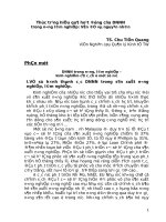 báo cáo khoa học kinh tế Thực trạng hiệu quả hoạt động của DNNN trong nông lâm nghiệp Vấn đề và nguyên nhân