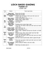 Giáo án lớp 3 năm học 2014 - 2014 Chuẩn KTKN  tuần 23
