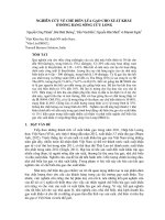 báo cáo khoa học nông nghiệp Nghiên cứu về chế biến lúa gạo cho xuất khẩu ở đồng bằng sông Cửu Long