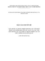BÁO CÁO CHUYÊN ĐỀ  XÂY DỰNG VÀ HOÀN THIỆN KHUNG CÁC VĂN BẢN PHÁP LUẬT ĐỒNG BỘ VỚI CÁC LUẬT VÀ CÁC VĂN BẢN DƯỚI LUẬT, SỬA ĐỔI VÀ HOÀN THIỆN CÁC CƠ CHẾ, CHÍNH SÁCH LIÊN QUAN