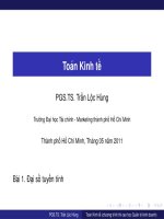 Bài giảng Toán kinh tế Bài 1 - PGS.TS. Trần Lộc Hùng