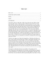 FDI của trung quốc tại việt nam