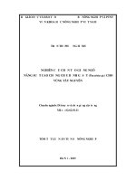 báo cáo khoa học nông nghiệp  Nghiên cứu chọn tạo giống ngô năng suất cao chống chịu bệnh gỉ sắt (Puccinia sp.) cho vùng Tây Nguyên