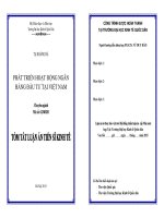 Phát triển hoạt động ngân hàng đầu tư tại việt nam (TT)