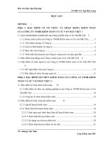 Đặc điểm về tổ chức và hoạt động kiểm toán của Công ty TNHH Kiểm Toán và Tư vấn Đất Việt