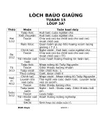 Giáo án lớp 3 năm học 2014 - 2014 Chuẩn KTKN  tuần 15