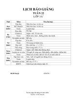 Giáo án lớp 3 năm học 2014 - 2014 Chuẩn KTKN  tuần 22