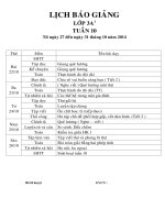 Giáo án lớp 3 năm học 2014 - 2014 Chuẩn KTKN  tuần 10