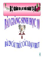 Bài giảng cấu trúc các loại virut  sinh học 10