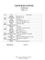 Giáo án lớp 3 năm học 2014 - 2014 Chuẩn KTKN  tuần 24