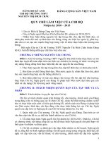 Dự thao quy chế làm việc của chi bộ nhiệm kì 2010-2015