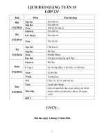 Giáo án lớp 2 năm học 2014 - 2015  tuần 15