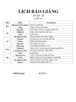 Giáo án lớp 3 năm học 2014 - 2014 Chuẩn KTKN  tuần 29