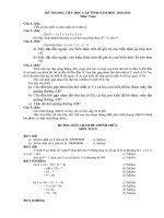 ĐỀ THI VÀ ĐÁP ÁN THI HỌC SINH GIỎI CẤP TỈNH  NĂM HỌC 2010 -2011 - MÔN TOÁN