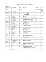 GIÁO ÁN LỚP 2 CHUẨN KIẾN THỨC TUẦN 8