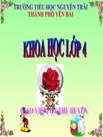 KHOA HỌC TIẾT 60: NHU CẦU KHÔNG KHÍ CỦA THỰC VẬT