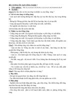 ĐỀ CƯƠNG ÔN TẬP CN 7 HKII 10-11