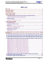 Thuyết minh chung cầu đường nông thôn - Dự án phát triển cơ sở hạ tầng giao thông đồng bằng sông Cửu Long (MDTIDP)