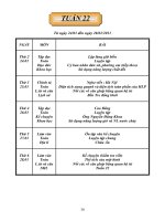 Tuần 22