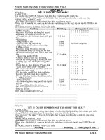 Giáo án thể dục HK II lớp 3