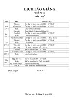 Giáo án lớp 3 năm học 2014 - 2014 Chuẩn KTKN  tuần 18