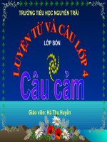 LUYEN TU VA CAU: TIET 60: CÂU CẢM